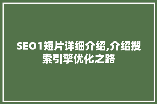SEO1短片详细介绍,介绍搜索引擎优化之路  第1张