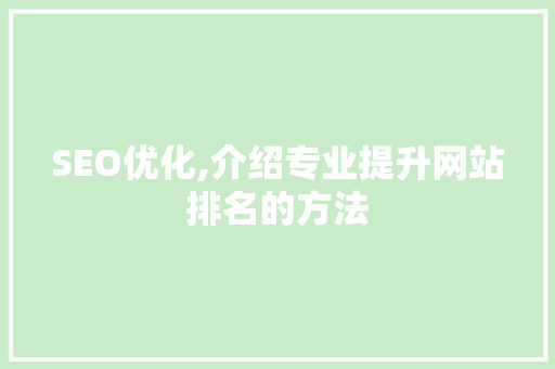 SEO优化,介绍专业提升网站排名的方法  第1张