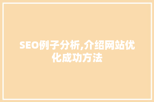 SEO例子分析,介绍网站优化成功方法