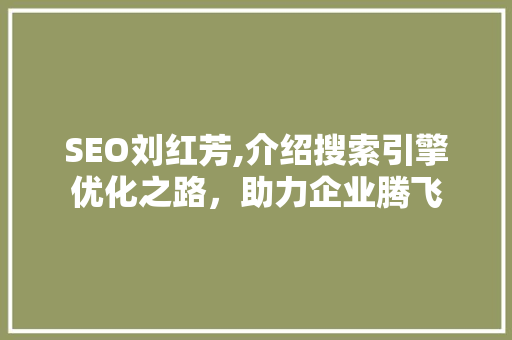 SEO刘红芳,介绍搜索引擎优化之路，助力企业腾飞