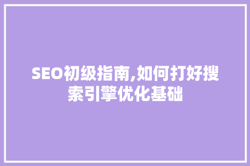 SEO初级指南,如何打好搜索引擎优化基础  第1张
