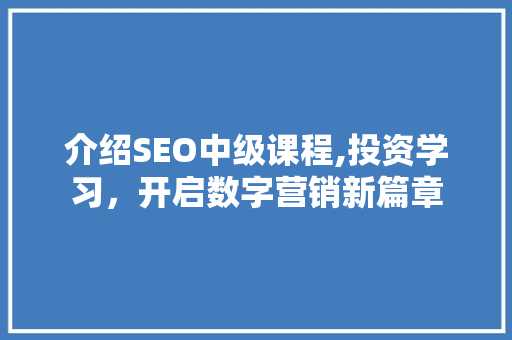 介绍SEO中级课程,投资学习，开启数字营销新篇章