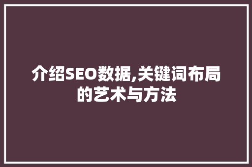 介绍SEO数据,关键词布局的艺术与方法