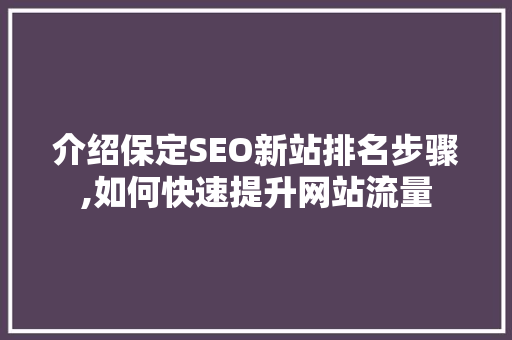 介绍保定SEO新站排名步骤,如何快速提升网站流量