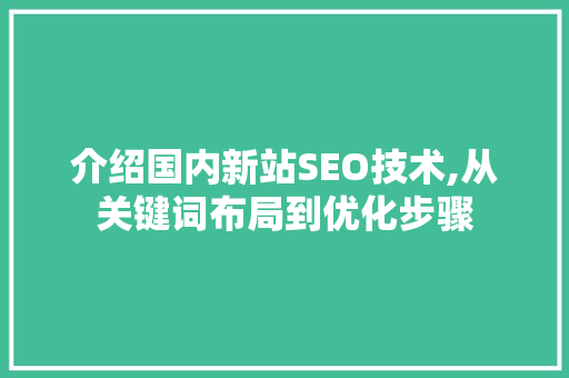 介绍国内新站SEO技术,从关键词布局到优化步骤