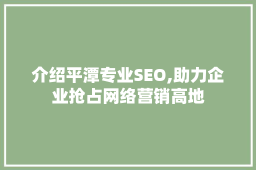 介绍平潭专业SEO,助力企业抢占网络营销高地