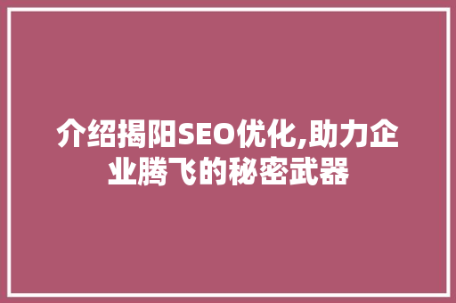 介绍揭阳SEO优化,助力企业腾飞的秘密武器