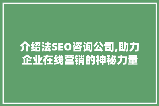 介绍法SEO咨询公司,助力企业在线营销的神秘力量