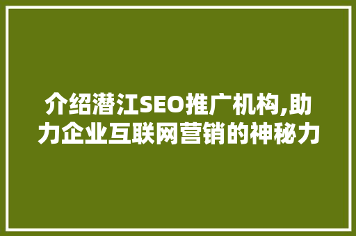 介绍潜江SEO推广机构,助力企业互联网营销的神秘力量