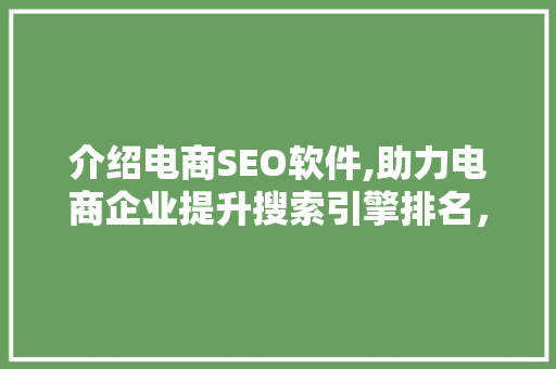 介绍电商SEO软件,助力电商企业提升搜索引擎排名，抢占市场先机