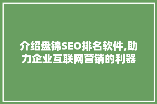 介绍盘锦SEO排名软件,助力企业互联网营销的利器