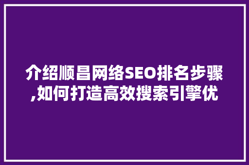 介绍顺昌网络SEO排名步骤,如何打造高效搜索引擎优化方法