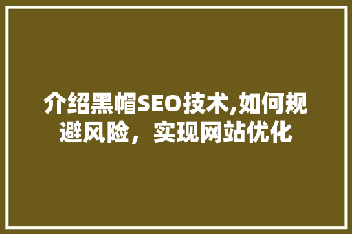 介绍黑帽SEO技术,如何规避风险，实现网站优化