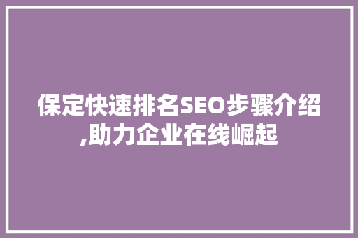 保定快速排名SEO步骤介绍,助力企业在线崛起