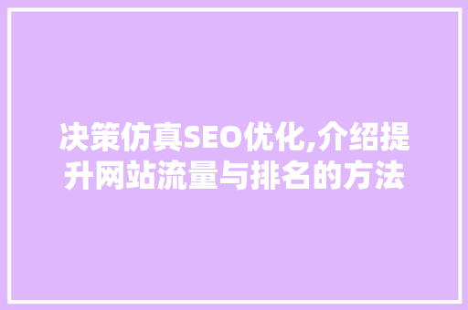 决策仿真SEO优化,介绍提升网站流量与排名的方法