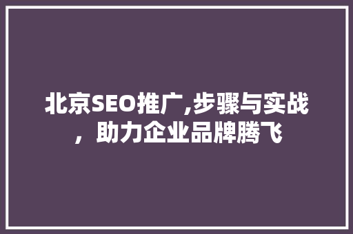 北京SEO推广,步骤与实战，助力企业品牌腾飞