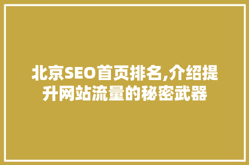 北京SEO首页排名,介绍提升网站流量的秘密武器