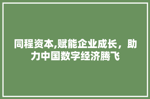 同程资本,赋能企业成长，助力中国数字经济腾飞
