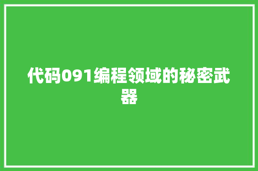 代码091编程领域的秘密武器