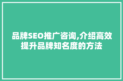 品牌SEO推广咨询,介绍高效提升品牌知名度的方法