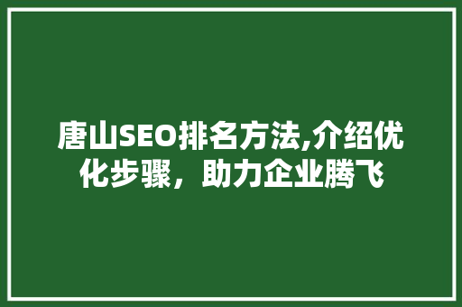唐山SEO排名方法,介绍优化步骤，助力企业腾飞