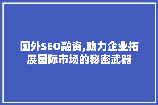 国外SEO融资,助力企业拓展国际市场的秘密武器