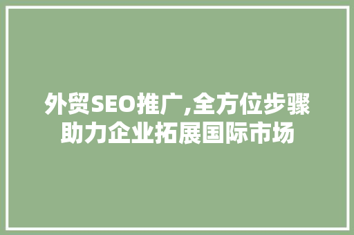 外贸SEO推广,全方位步骤助力企业拓展国际市场
