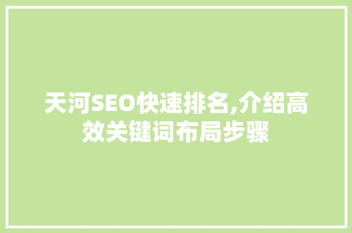 天河SEO快速排名,介绍高效关键词布局步骤