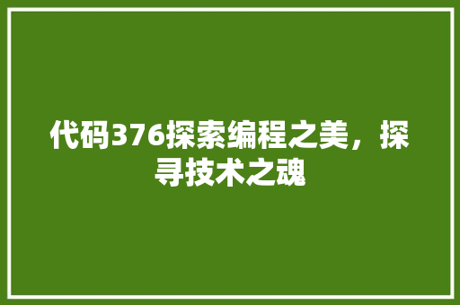 代码376探索编程之美，探寻技术之魂
