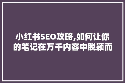 小红书SEO攻略,如何让你的笔记在万千内容中脱颖而出