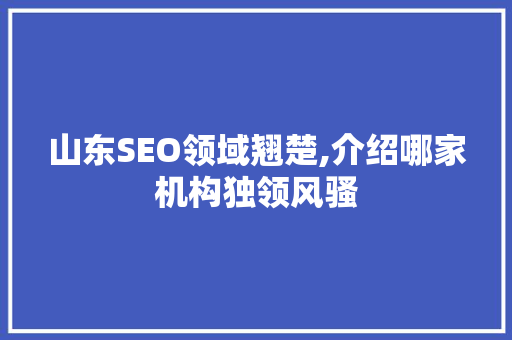 山东SEO领域翘楚,介绍哪家机构独领风骚