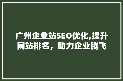 广州企业站SEO优化,提升网站排名，助力企业腾飞