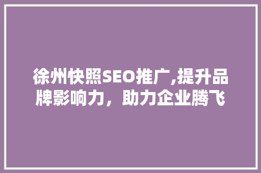 徐州快照SEO推广,提升品牌影响力，助力企业腾飞  第1张