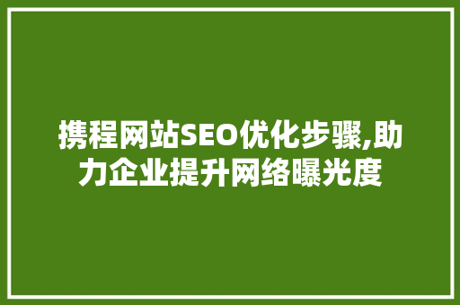 携程网站SEO优化步骤,助力企业提升网络曝光度