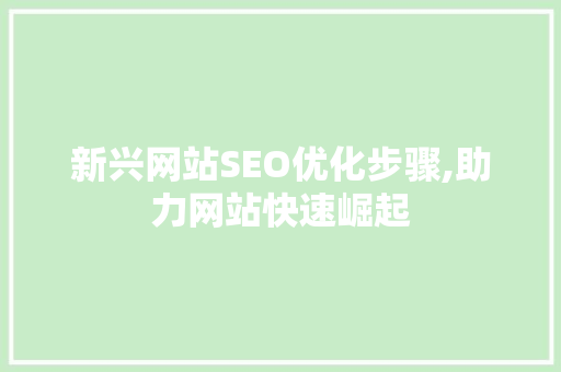 新兴网站SEO优化步骤,助力网站快速崛起