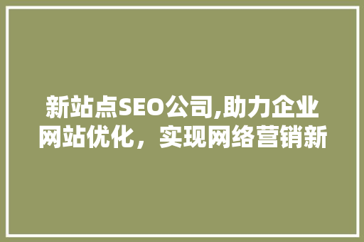 新站点SEO公司,助力企业网站优化，实现网络营销新突破