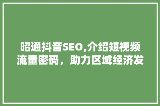 昭通抖音SEO,介绍短视频流量密码，助力区域经济发展
