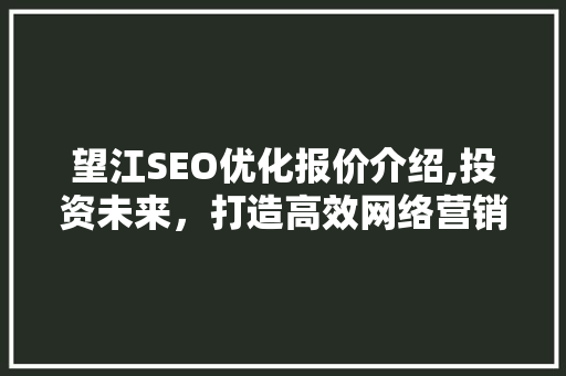 望江SEO优化报价介绍,投资未来，打造高效网络营销步骤