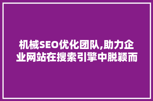 机械SEO优化团队,助力企业网站在搜索引擎中脱颖而出