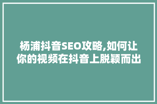 杨浦抖音SEO攻略,如何让你的视频在抖音上脱颖而出