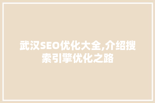 武汉SEO优化大全,介绍搜索引擎优化之路