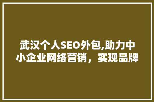 武汉个人SEO外包,助力中小企业网络营销，实现品牌价值最大化