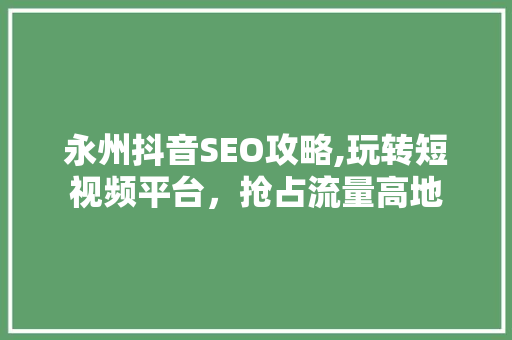 永州抖音SEO攻略,玩转短视频平台，抢占流量高地