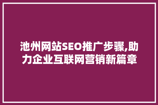 池州网站SEO推广步骤,助力企业互联网营销新篇章