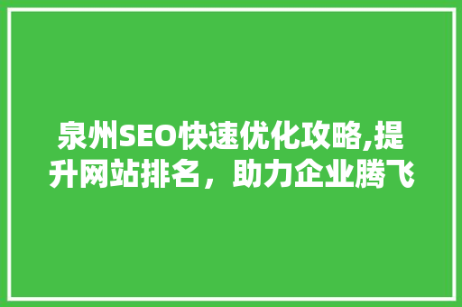 泉州SEO快速优化攻略,提升网站排名，助力企业腾飞