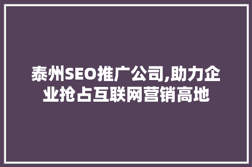 泰州SEO推广公司,助力企业抢占互联网营销高地