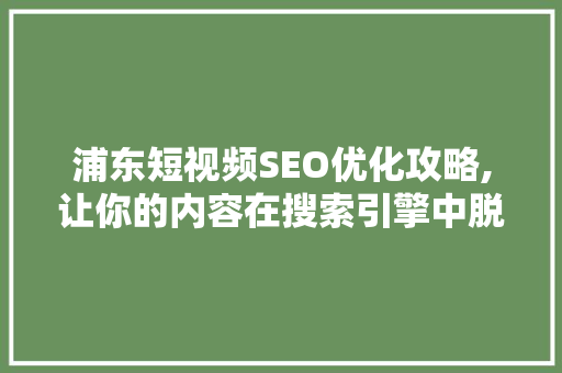浦东短视频SEO优化攻略,让你的内容在搜索引擎中脱颖而出