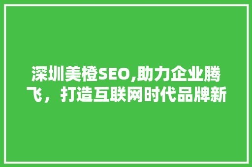 深圳美橙SEO,助力企业腾飞，打造互联网时代品牌新形象