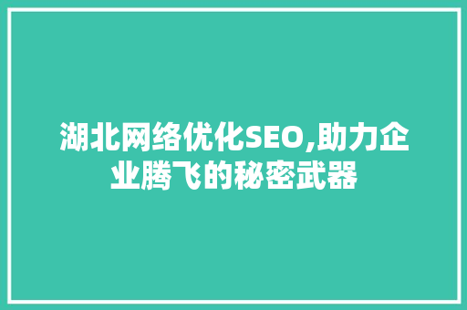 湖北网络优化SEO,助力企业腾飞的秘密武器