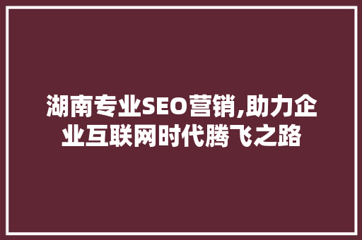 湖南专业SEO营销,助力企业互联网时代腾飞之路